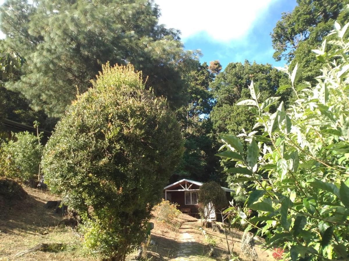 Miriam'S Quetzals Lodge San Gerardo de Dota Exterior foto