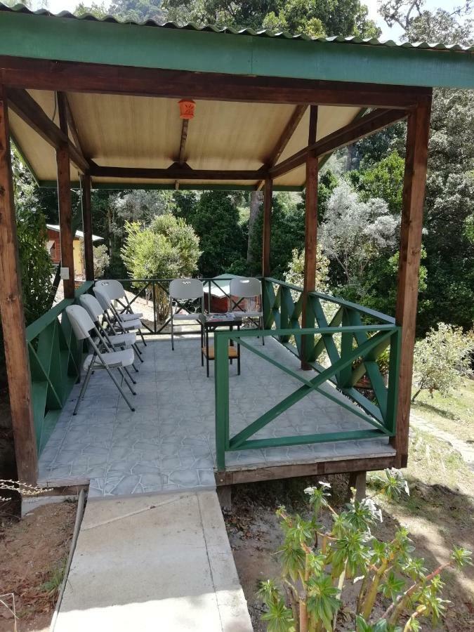 Miriam'S Quetzals Lodge San Gerardo de Dota Exterior foto